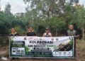 Peringati Hari Mangrove Sedunia 2026, PERSINAS ASAD Manokwari Kolaborasi Sebarkan 100 Kg Indukan Kepiting